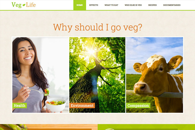Veg Life Web Project